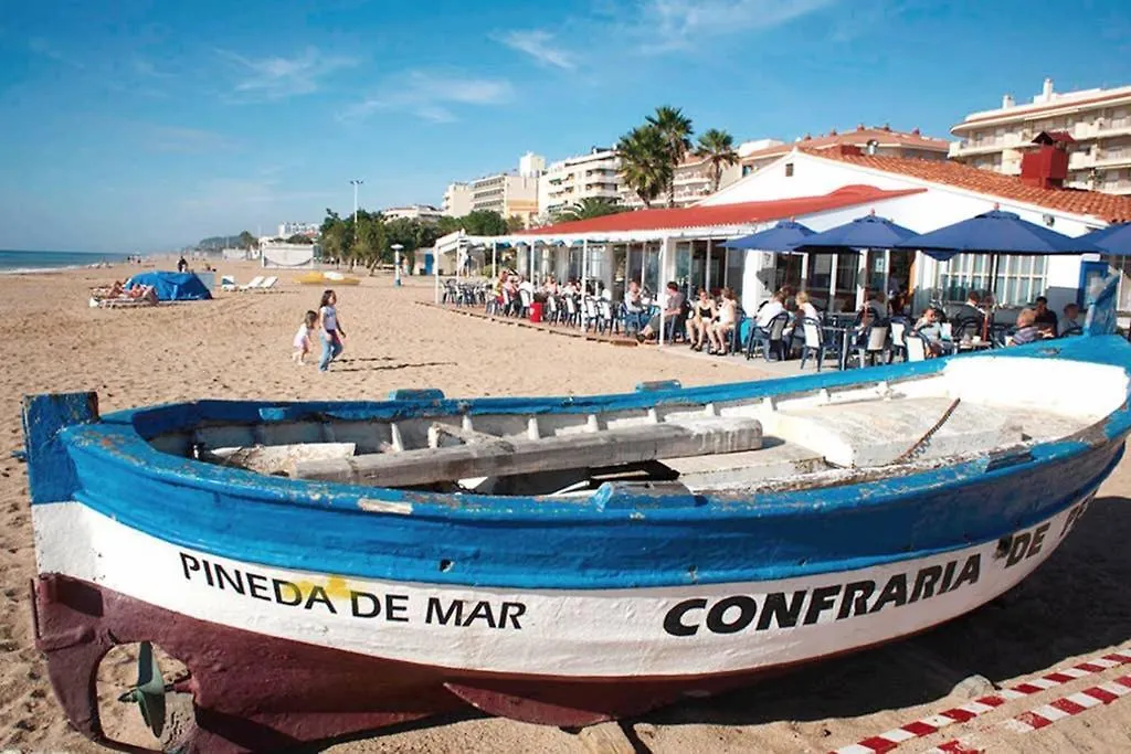 Apartment In Front Of The Beach Pineda de Mar 0*,